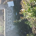 Graffiti Abatement - Report at 600 Minnesota St