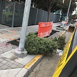 Holiday Tree Removal at 333 Harrison St