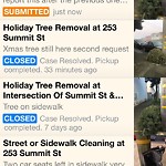 Holiday Tree Removal at 253 Summit St