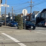 Holiday Tree Removal at Intersection Of 41st Ave & Judah St