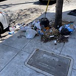 Street or Sidewalk Cleaning at 3186 25th St
