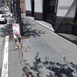 Street or Sidewalk Cleaning at 181 3rd St