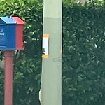 Illegal Postings at 295 Marina Blvd