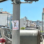 Illegal Postings at Intersection Of Bay St & Franklin St