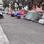 Encampment at 35 Laskie St