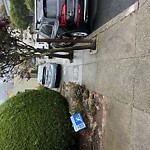 Blocked Driveway & Illegal Parking at 165 Villa Terrace Twin Peaks
