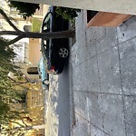 Blocked Driveway & Illegal Parking at 3731 Webster St Marina District