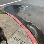 Flooding, Sewer & Water Leak Issues at Intersection Of Jamestown Ave & Hawes St