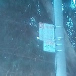 Parking & Traffic Sign Repair at 790 20th Ave