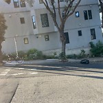 Street or Sidewalk Cleaning at 1500 Innes Ave