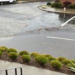Flooding, Sewer & Water Leak Issues at 535 El Camino Del Mar