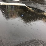 Flooding, Sewer & Water Leak Issues at 501 Eddy St