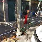 Streetlight Repair at 1329 Divisadero St Anza Vista