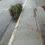 Pothole & Street Issues at 90 Grove St