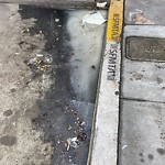 Flooding, Sewer & Water Leak Issues at 1766 Haight St