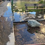 Flooding, Sewer & Water Leak Issues at 1371 Guerrero St