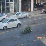 Holiday Tree Removal at 1031 Valencia St