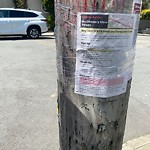 Illegal Postings at Intersection Of Surrey St & Thor Ave