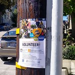 Illegal Postings at 24th St & Castro St Noe Valley Sf
