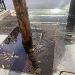 Flooding, Sewer & Water Leak Issues at 100 Van Ness Ave