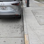 Curb & Sidewalk Issues at 281 9th St So Ma