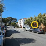 Parking & Traffic Sign Repair at 2400–2498 Francisco St, San Francisco 94123