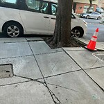 Curb & Sidewalk Issues at 1986 Palou Ave