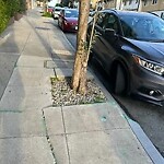 Curb & Sidewalk Issues at 1680 Sutter St