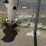 Flooding, Sewer & Water Leak Issues at Intersection Of 29th Ave & Kirkham St
