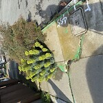 Curb & Sidewalk Issues at 455 Joost Ave