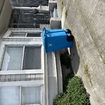 Garbage Containers at 478 28th Ave