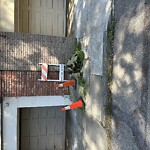 Curb & Sidewalk Issues at 144 Locksley Ave