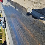 Pothole & Street Issues at 1566 Plymouth Ave