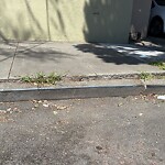 Curb & Sidewalk Issues at 2136 Alemany Blvd