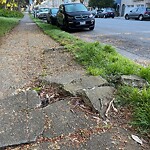 Curb & Sidewalk Issues at 468 Funston Ave