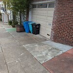 Garbage Containers at 667 41st Ave, San Francisco 94121