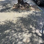 Street or Sidewalk Cleaning at 225 Parker Ave