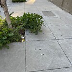 Street or Sidewalk Cleaning at 1573 Vallejo St