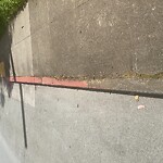 Curb & Sidewalk Issues at 31st Ave & Fulton St