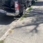 Street or Sidewalk Cleaning at 700 792 Capp St