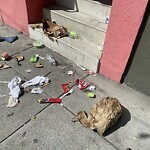 Street or Sidewalk Cleaning at 449 Octavia Blvd, San Francisco 94102