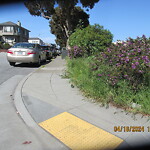 Street or Sidewalk Cleaning at Mayfair Dr