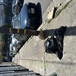 Street or Sidewalk Cleaning at 85 Columbia Square