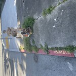 Curb & Sidewalk Issues at Newhall St & Revere Ave