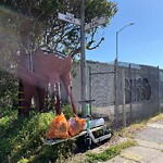 Street or Sidewalk Cleaning at 700 Innes Ave