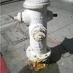 Flooding, Sewer & Water Leak Issues at 129 Santos St, San Francisco 94134