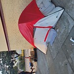 Encampment at 406 Funston Ave