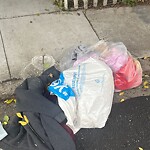 Street or Sidewalk Cleaning at 2850 21st St