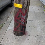 Graffiti at 1588 Newhall St, San Francisco 94124