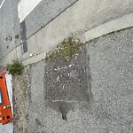 Curb & Sidewalk Issues at Innes Ave & Donahue St